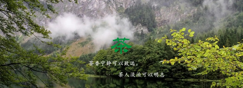 凤凰单丛